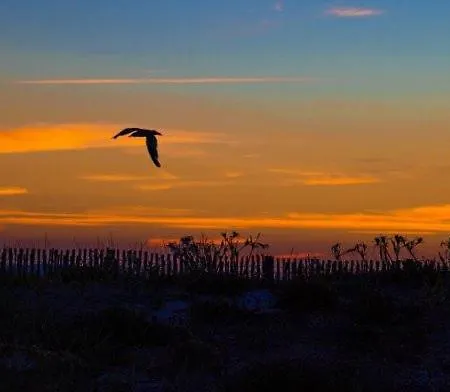 Hyevass Pour 4 Personnes Proche De La Des Salins Situe A Hyeres