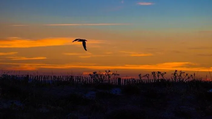 Hyevass Pour 4 Personnes Proche De La Des Salins Situe A 耶尔